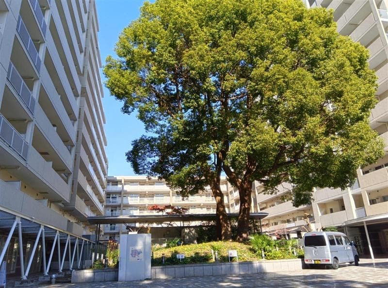 シティコート目黒の中庭と植栽